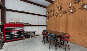 227 S Hollow Tree, Alice, TX 78332