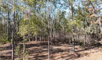 4700 County Road 340, Bell, FL 32619