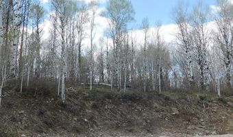 4051 Golden Stone Ln, Ashton, ID 83420