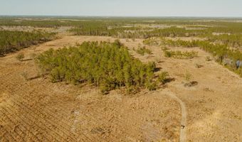 000 County Road 336, Chiefland, FL 32626