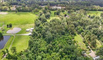 29809 S Cafe Line Rd, Albany, LA 70711