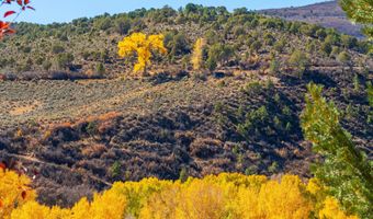 422 Sopris Creek Rd, Basalt, CO 81621