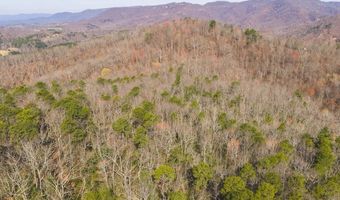 Ararat Highway, Ararat, VA 24053