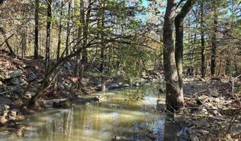 2 TBD Henderson Mill Rd, Bates, AR 72958