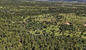 Old Homestead Ln, Beulah, CO 81023