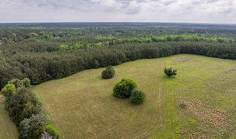 5740 Cobbham Road Lot Tract C, Appling, GA 30802