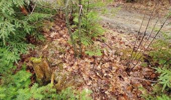 0 Ryan Rd, Baileyville, ME 04694