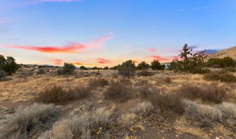 10 Conner Way, Gardnerville, NV 89410