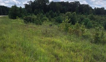 Lot 8 River Rd, Columbia, MS 39429