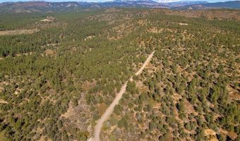 Lot 3 Foxfire Ranch, Bayfield, CO 81122