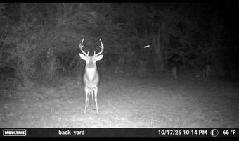 6838 HIGHWAY 167, Bernice, LA 71222