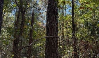 0 Owens Ave SW, Attalla, AL 35954