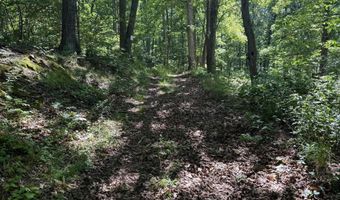 750 HICKORY CORNER Rd, Augusta, WV 26704