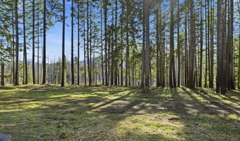 53189 MCKENZIE Hwy, Blue River, OR 97413