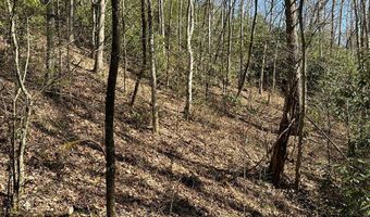 Lot 7 Valley View Heights Lane, Andrews, NC 28901