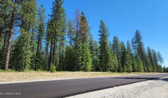 NNA Lot 4 TJ Trail, Athol, ID 83801