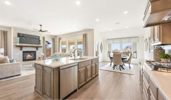 2005 Amber Gate Dr, Anna, TX 75409