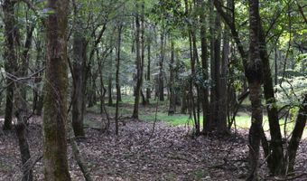 0 County Rd 22, Auburn, AL 36830