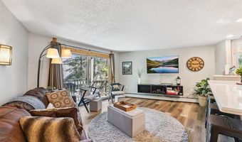 1105 SKI HILL Rd 70, Breckenridge, CO 80424