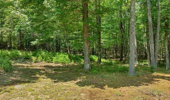 495 Halls Hill Rd, Alton, NH 03809
