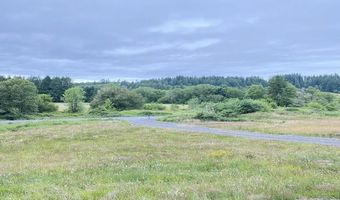 67640 NEVERSTILL Rd, Birkenfeld, OR 97016