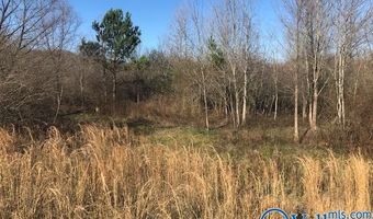 6777 Hwy 207, Anderson, AL 35610
