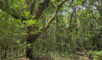 6154 Rudder Ln, Awendaw, SC 29429