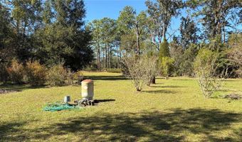 10690 NE 100TH Ln, Archer, FL 32618