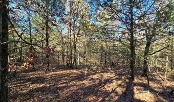 2 TBD Henderson Mill Rd, Bates, AR 72958
