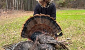 Pleasant Hill Road, Ashland, MS 38603