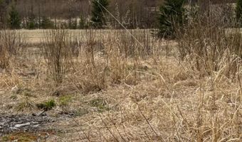 TBD40 Township Road 5743, Alborn, MN 55702