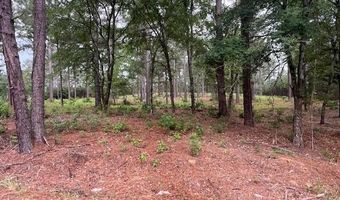 2 N 4140 Rd, Antlers, OK 74523