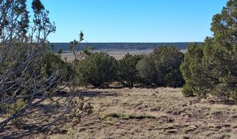 68 N 8171, Concho, AZ 85924