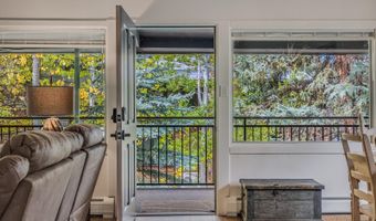 731 S Mill St 3A, Aspen, CO 81611