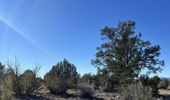298 Quartz Hill Rd, Ash Fork, AZ 86320