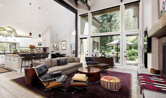 1145 Black Birch Dr, Aspen, CO 81611