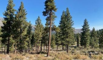 3253 Summit Camp Way Lot C27, Carson City, NV 89705
