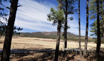 8 B County Road 2267 Escudilla Rd, Alpine, AZ 85920