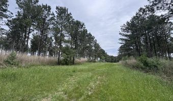 167 E W Morgan, Arcadia, LA 71001