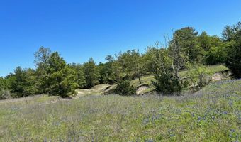 R13945 A0049 J Peterson Tract 11 Acres, Anderson, TX 77830