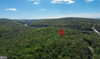 2461 OLD MORGANTOWN Rd E, Accident, MD 21520