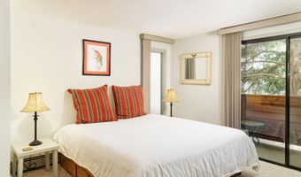 935 E Hopkins Ave 6, Aspen, CO 81611