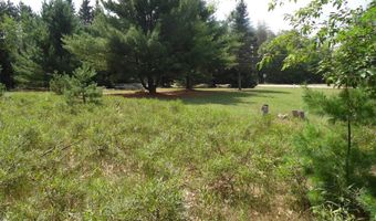 S Forest Lake, Alger, MI 48610