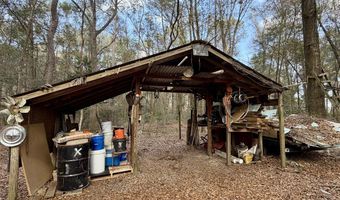 County Road 72, Ariton, AL 36311