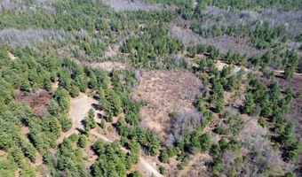 5840 Wildwood Rd, Alger, MI 48610