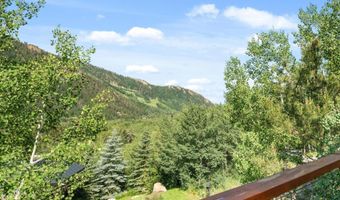 250 Mountain Laurel Dr B, Aspen, CO 81611