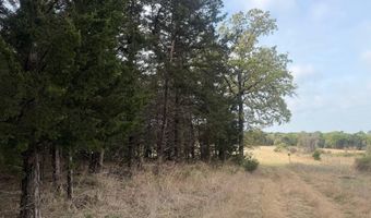 2548 County Road 2690, Alvord, TX 76225