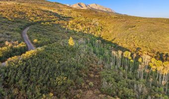 Old Herron Road lot 48, Basalt, CO 81621