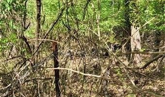 1642 R2 Kersey Valley Rd, Archdale, NC 27265