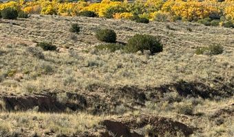 DUANE Street, Abiquiu, NM 87510